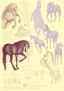 Digital sketchbook page journal filled with drawings, artworks, sketches, notes focused on study and practice