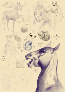 Digital sketchbook page journal filled with drawings, artworks, sketches, notes focused on study and practice