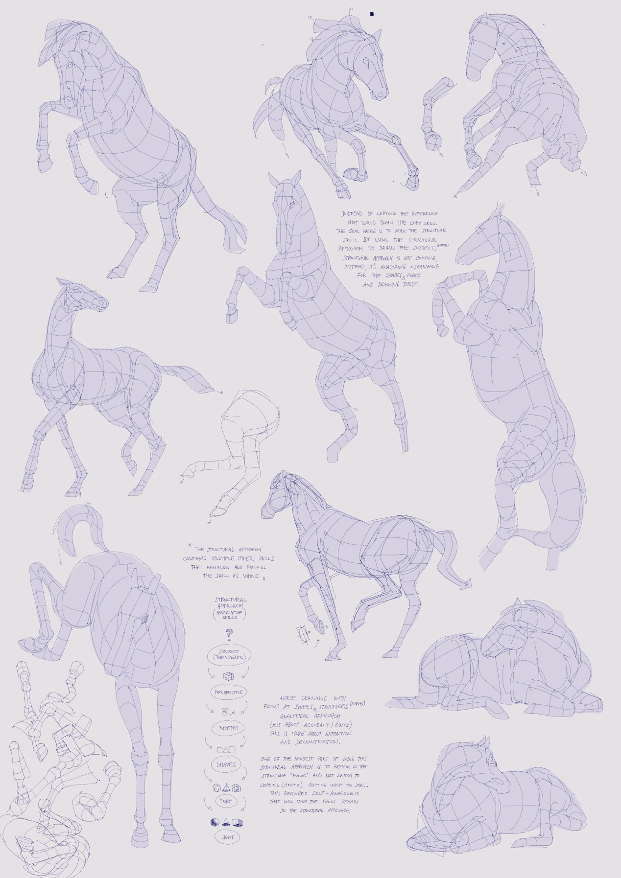 Horse Drawings: Structure, Shape, and Form Practice