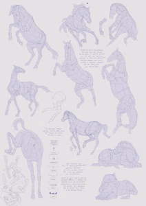 Horse Drawings: Structure, Shape, and Form Practice